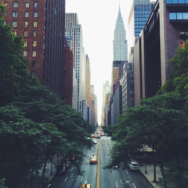Family routine and school logistics in Amsterdam